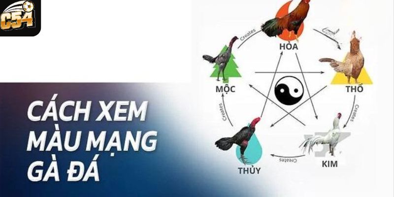 Cách xem màu mạng đá gà theo ngũ hành