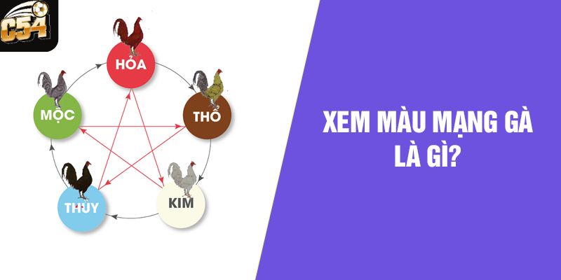 Màu mạng của gà đá