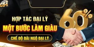 Quyền lợi đặc biệt khi trở thành đại lý C54